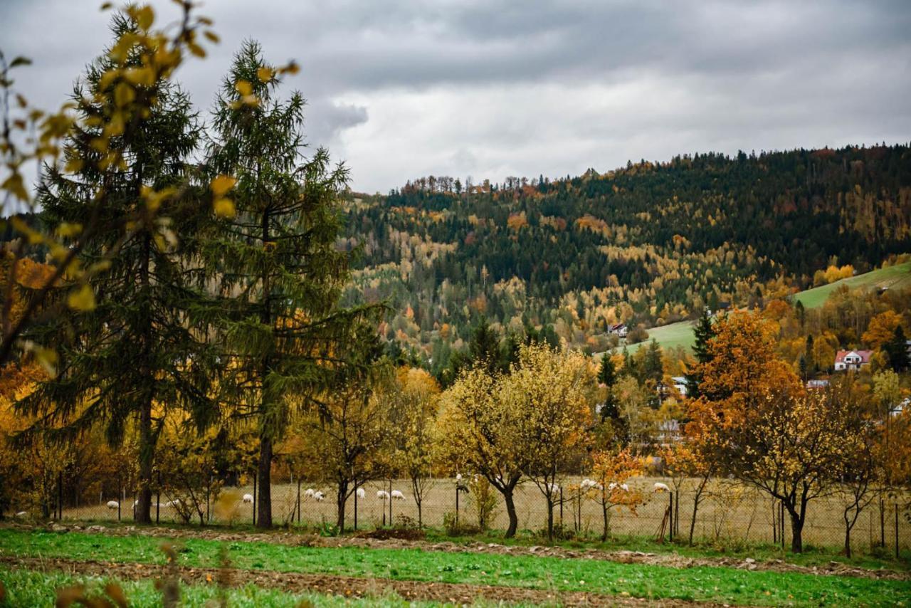 Dom Panorama Holiday home Wisla